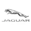 jaguar-icon